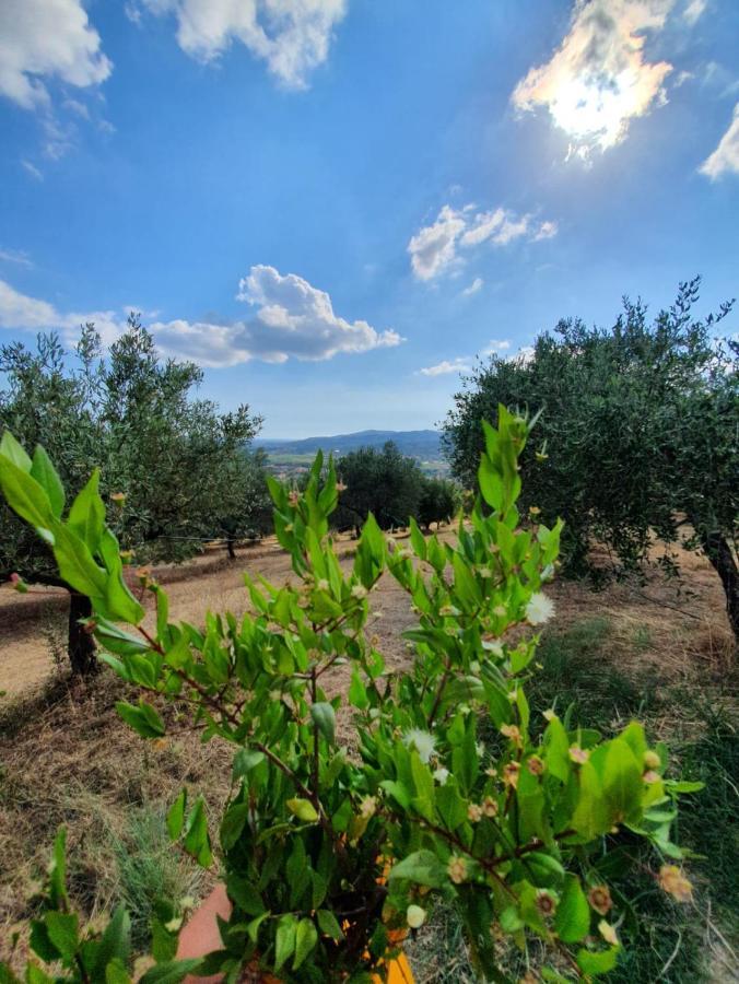 Willa Colle Del Mirto Castelnuovo Cilento Zewnętrze zdjęcie