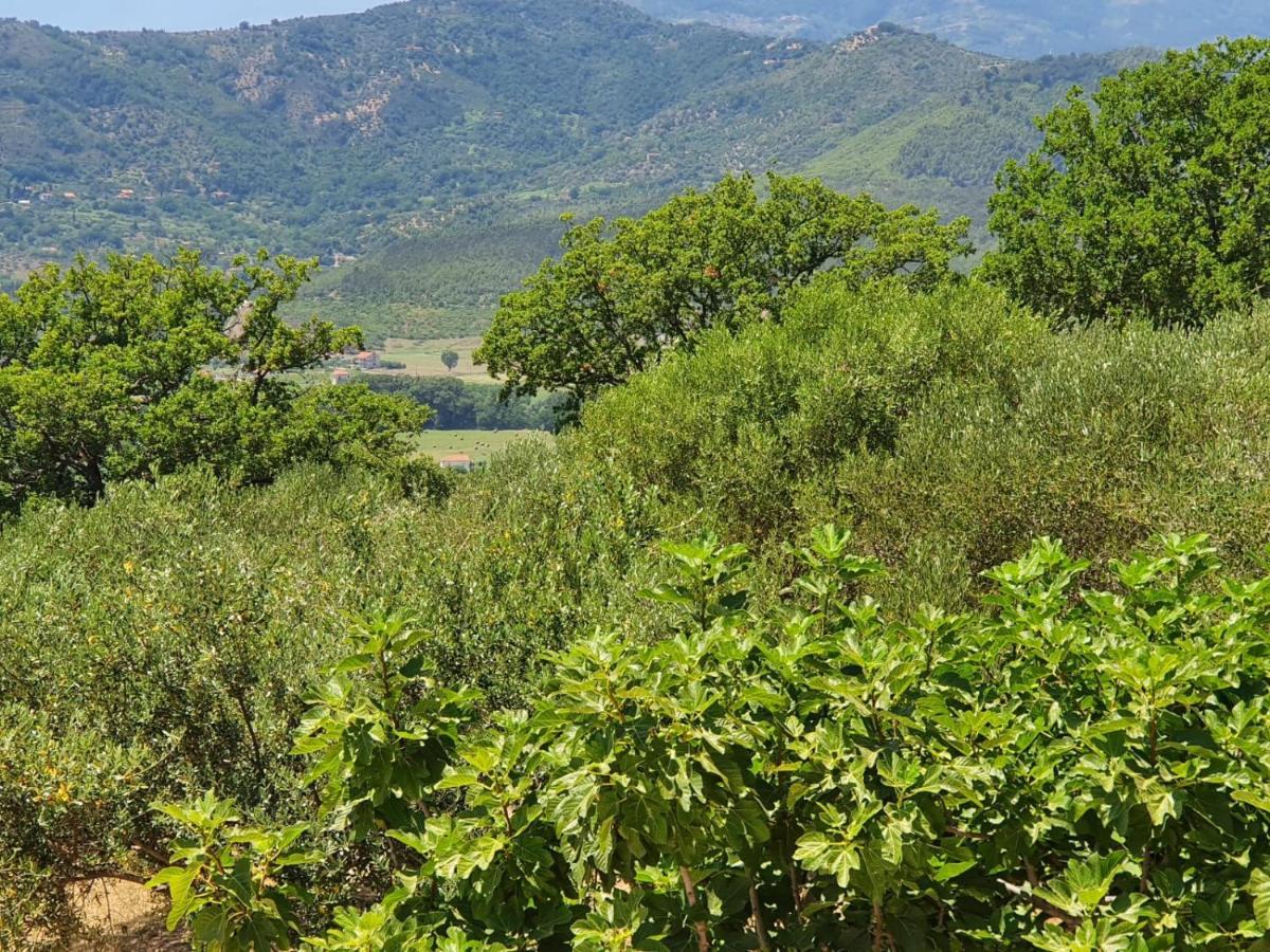 Willa Colle Del Mirto Castelnuovo Cilento Zewnętrze zdjęcie